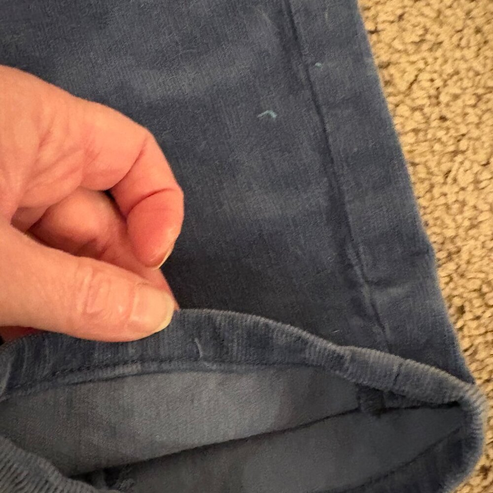 Anthropologie Pilcro Corduroy Pants Size 30 - Picture 5 of 5